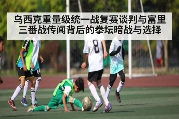 乌西克重量级统一战复赛谈判与富里三番战传闻背后的拳坛暗战与选择