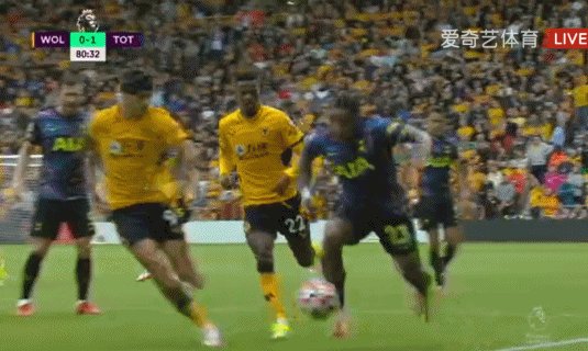 1629644535574056443.gif 5.gif